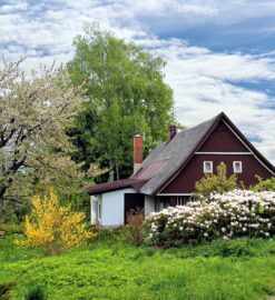 Quels outils de jardin pour un jardinier amateur ?
