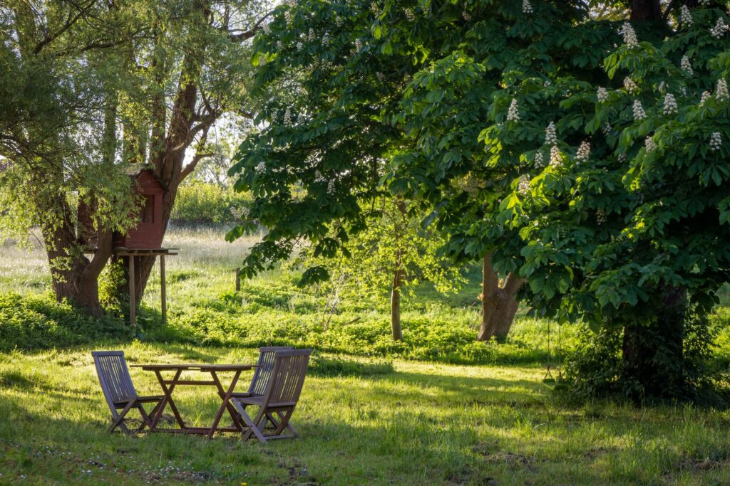 ombrages du jardin